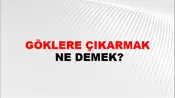 Göklere Çıkarmak