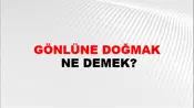 Gönlüne Doğmak