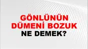 Gönlünün Dümeni Bozuk