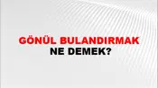 Gönül Bulandırmak