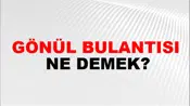 Gönül Bulantısı