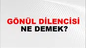 Gönül Dilencisi