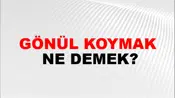 Gönül Koymak