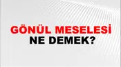 Gönül Meselesi
