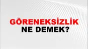 Göreneksizlik