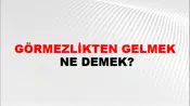 Görmezlikten Gelmek