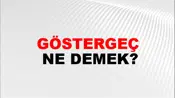Göstergeç