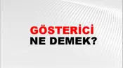 Gösterici