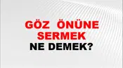 Göz (Veya gözler) önüne sermek