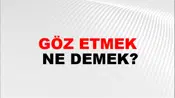 Göz Etmek