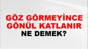 Göz Görmeyince Gönül Katlanır