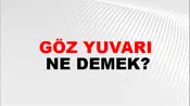 Göz Yuvarı