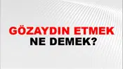 Gözaydın Etmek