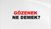Gözenek