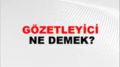 Gözetleyici