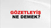 Gözetleyiş