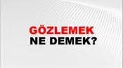 Gözlemek