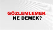 Gözlemlemek
