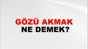 Gözü Akmak