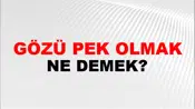 Gözü Pek Olmak