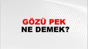 Gözü Pek