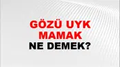 Gözü Uyku Tutmamak