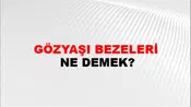 Gözyaşı Bezeleri