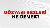 Gözyaşı Bezleri