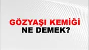 Gözyaşı Kemiği