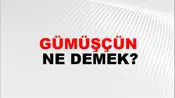 Gümüşçün