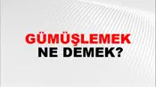 Gümüşlemek