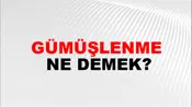 Gümüşlenme