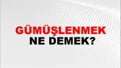 Gümüşlenmek