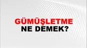 Gümüşletme