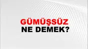 Gümüşsüz