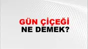 Gün Çiçeği