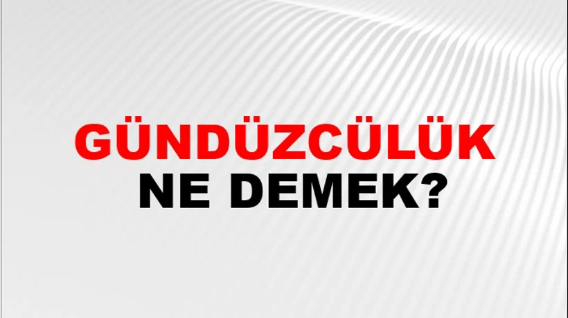 Gündüzcülük Gündüzcülük
