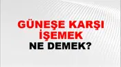 Güneşe Karşı İşemek