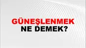 Güneşlenmek