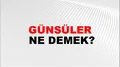 Günsüler