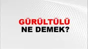 Gürültülü