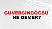 Güvercingöğsü