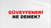Güveyfeneri