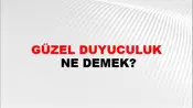 Güzel Duyuculuk