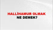 Hallihamur Olmak