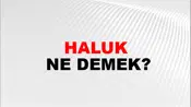 Haluk