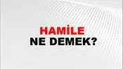 Hamile