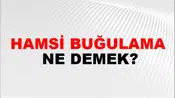 Hamsi Buğulama