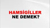 Hamsigiller
