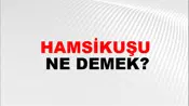 Hamsikuşu